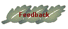 Feedback